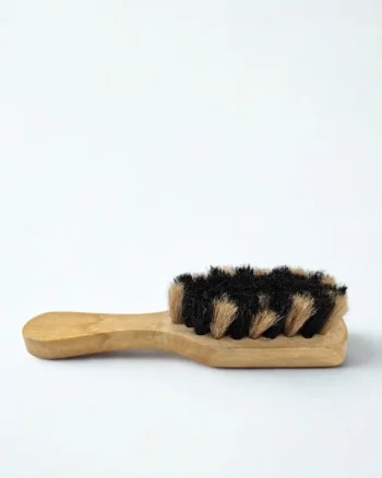 Shoe Brush